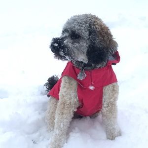 Meet your Posher, Claudine